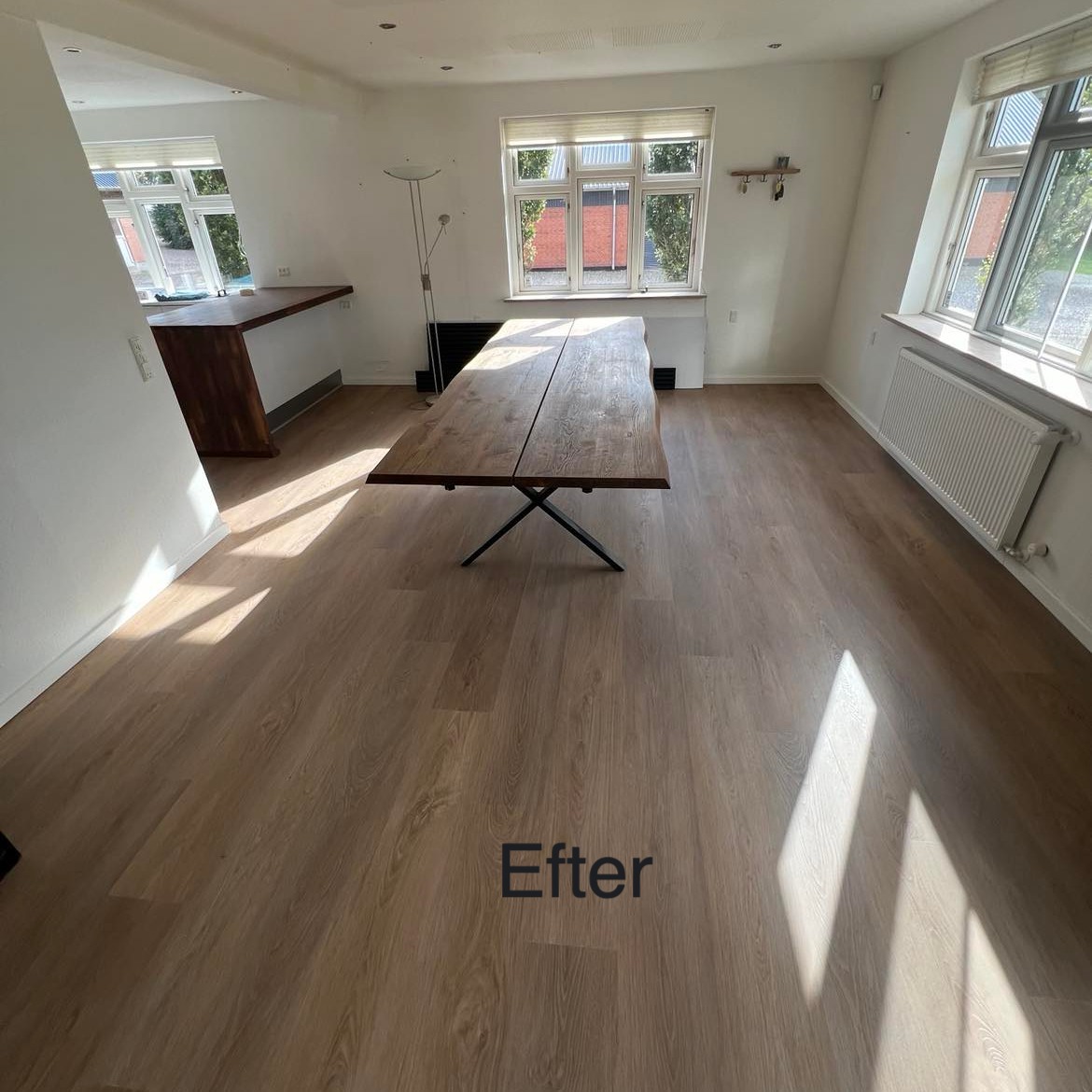 484081981_1162051919041336_6617627550948170677_n